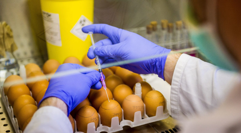 10 Best Online Master’s Programs in Food Science and Technology ...